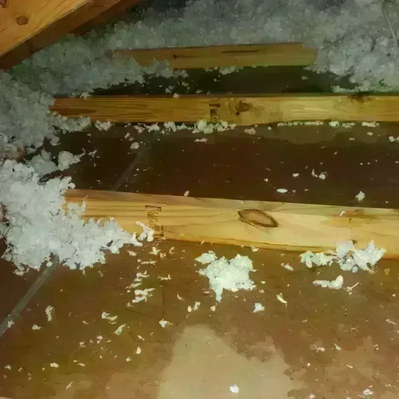 Attic Water Damage in Brothertown, WI